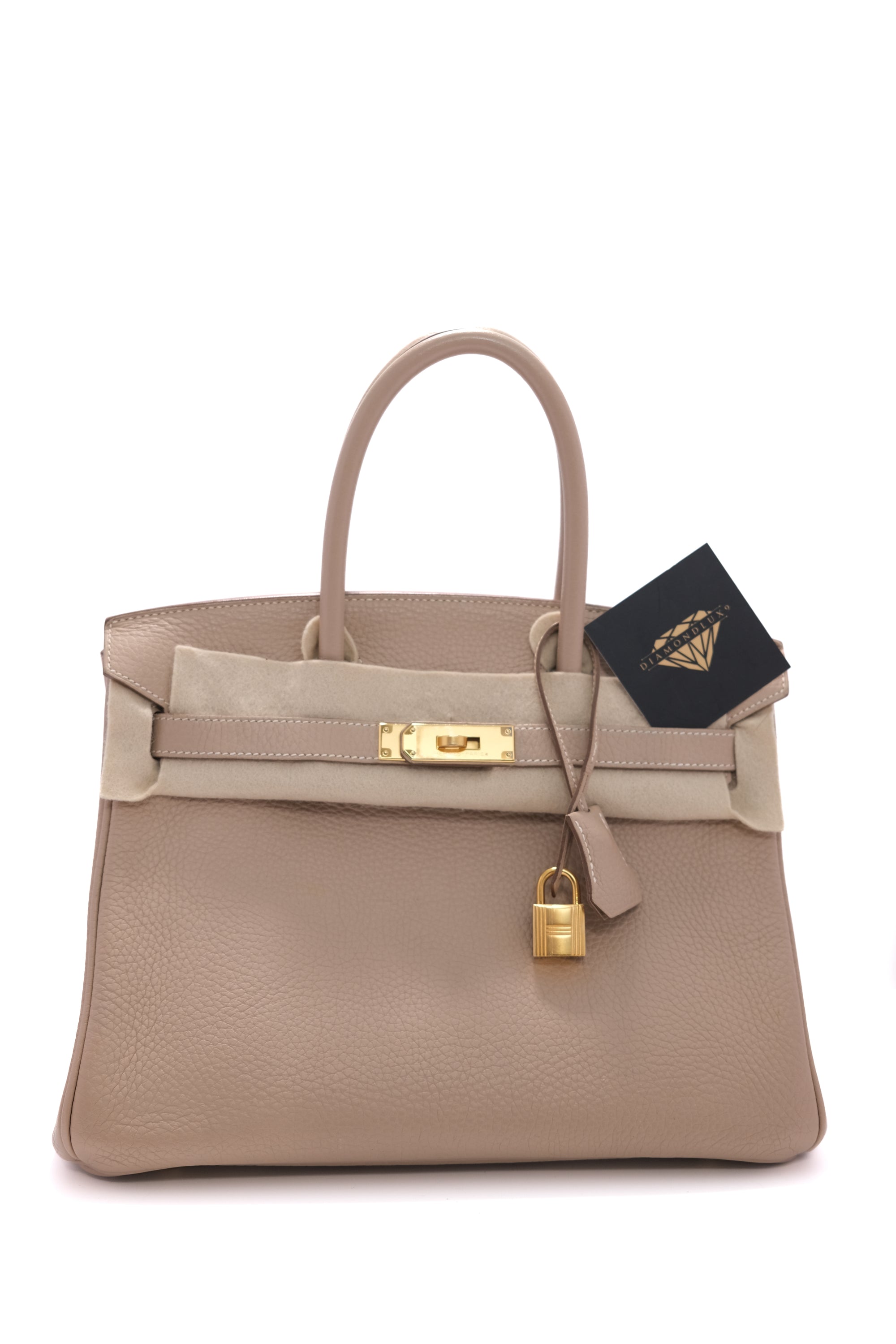 Birkin 30 Argile Gold Hardware